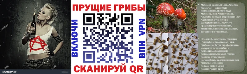 Псилоцибиновые грибы Magic Shrooms  Мценск 