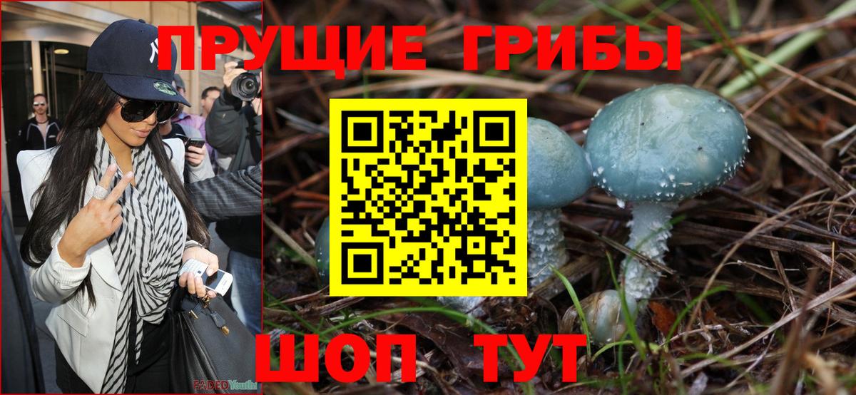 Мценск  Псилоцибиновые грибы GOLDEN TEACHER  Вход с VPN 